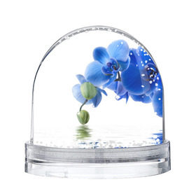 Снежный шар с принтом Веточка орхидеи , Пластик | Изображение внутри шара печатается на глянцевой фотобумаге с двух сторон | ветка | красота | нежность | орхидея | природа | растение | фауна | цветок | цветы