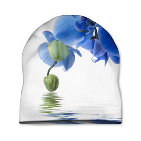 Шапка 3D с принтом Веточка орхидеи , 100% полиэстер | универсальный размер, печать по всей поверхности изделия | ветка | красота | нежность | орхидея | природа | растение | фауна | цветок | цветы