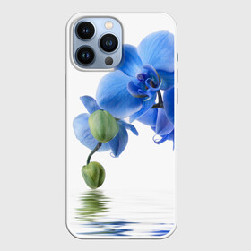 Чехол для iPhone 13 Pro Max с принтом Веточка орхидеи ,  |  | Тематика изображения на принте: ветка | красота | нежность | орхидея | природа | растение | фауна | цветок | цветы