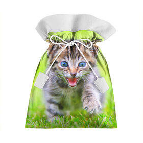 Подарочный 3D мешок с принтом Кися , 100% полиэстер | Размер: 29*39 см | домашние | животные | кот | котёнок | кошка | милый