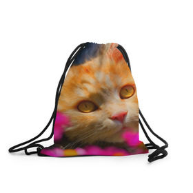 Рюкзак-мешок 3D с принтом Кошечка , 100% полиэстер | плотность ткани — 200 г/м2, размер — 35 х 45 см; лямки — толстые шнурки, застежка на шнуровке, без карманов и подкладки | животные | кот | кошка | милая | рыжий