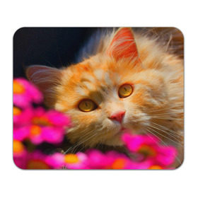 Коврик прямоугольный с принтом Кошечка , натуральный каучук | размер 230 х 185 мм; запечатка лицевой стороны | Тематика изображения на принте: животные | кот | кошка | милая | рыжий