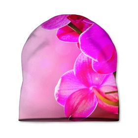 Шапка 3D с принтом Орхидея , 100% полиэстер | универсальный размер, печать по всей поверхности изделия | Тематика изображения на принте: лепесток | новая | орхидея | природа | цветок | яркая