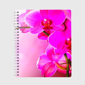 Тетрадь с принтом Орхидея , 100% бумага | 48 листов, плотность листов — 60 г/м2, плотность картонной обложки — 250 г/м2. Листы скреплены сбоку удобной пружинной спиралью. Уголки страниц и обложки скругленные. Цвет линий — светло-серый
 | лепесток | новая | орхидея | природа | цветок | яркая
