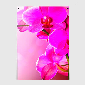 Постер с принтом Орхидея , 100% бумага
 | бумага, плотность 150 мг. Матовая, но за счет высокого коэффициента гладкости имеет небольшой блеск и дает на свету блики, но в отличии от глянцевой бумаги не покрыта лаком | лепесток | новая | орхидея | природа | цветок | яркая