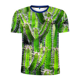 Мужская футболка 3D спортивная с принтом Кактус , 100% полиэстер с улучшенными характеристиками | приталенный силуэт, круглая горловина, широкие плечи, сужается к линии бедра | кактус | колючки | прикольные картинки | природа | цветочки | цветы