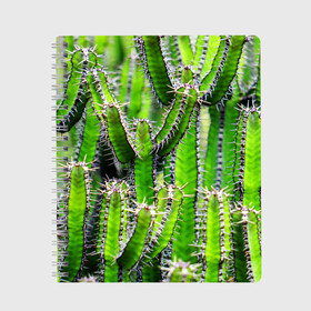 Тетрадь с принтом Кактус , 100% бумага | 48 листов, плотность листов — 60 г/м2, плотность картонной обложки — 250 г/м2. Листы скреплены сбоку удобной пружинной спиралью. Уголки страниц и обложки скругленные. Цвет линий — светло-серый
 | кактус | колючки | прикольные картинки | природа | цветочки | цветы
