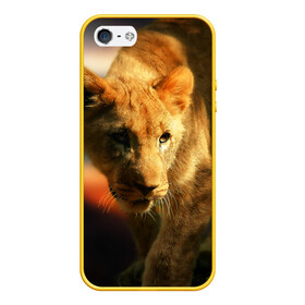 Чехол для iPhone 5/5S матовый с принтом Львица , Силикон | Область печати: задняя сторона чехла, без боковых панелей | lion | голова животного | дикая кошка | кот | лев | цвет