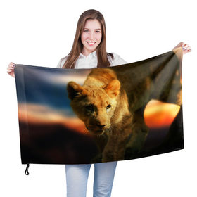 Флаг 3D с принтом Львица , 100% полиэстер | плотность ткани — 95 г/м2, размер — 67 х 109 см. Принт наносится с одной стороны | lion | голова животного | дикая кошка | кот | лев | цвет