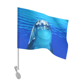 Флаг для автомобиля с принтом Дельфин , 100% полиэстер | Размер: 30*21 см | вода | дельфин | море | отдых | отпуск | подводный мир | туризм