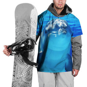 Накидка на куртку 3D с принтом Дельфин , 100% полиэстер |  | Тематика изображения на принте: вода | дельфин | море | отдых | отпуск | подводный мир | туризм