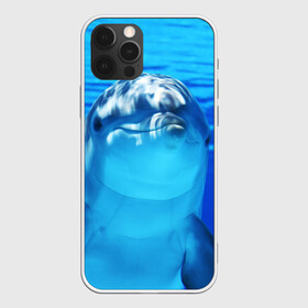 Чехол для iPhone 12 Pro с принтом Дельфин , силикон | область печати: задняя сторона чехла, без боковых панелей | вода | дельфин | море | отдых | отпуск | подводный мир | туризм