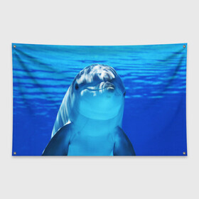 Флаг-баннер с принтом Дельфин , 100% полиэстер | размер 67 х 109 см, плотность ткани — 95 г/м2; по краям флага есть четыре люверса для крепления | вода | дельфин | море | отдых | отпуск | подводный мир | туризм