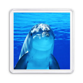 Магнит 55*55 с принтом Дельфин , Пластик | Размер: 65*65 мм; Размер печати: 55*55 мм | Тематика изображения на принте: вода | дельфин | море | отдых | отпуск | подводный мир | туризм
