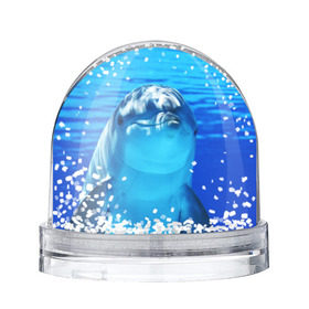 Снежный шар с принтом Дельфин , Пластик | Изображение внутри шара печатается на глянцевой фотобумаге с двух сторон | вода | дельфин | море | отдых | отпуск | подводный мир | туризм