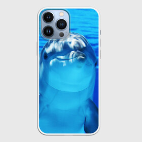Чехол для iPhone 13 Pro Max с принтом Дельфин ,  |  | Тематика изображения на принте: вода | дельфин | море | отдых | отпуск | подводный мир | туризм