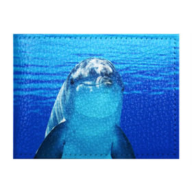 Обложка для студенческого билета с принтом Дельфин , натуральная кожа | Размер: 11*8 см; Печать на всей внешней стороне | вода | дельфин | море | отдых | отпуск | подводный мир | туризм
