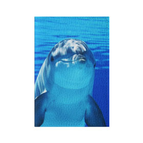 Обложка для паспорта матовая кожа с принтом Дельфин , натуральная матовая кожа | размер 19,3 х 13,7 см; прозрачные пластиковые крепления | вода | дельфин | море | отдых | отпуск | подводный мир | туризм
