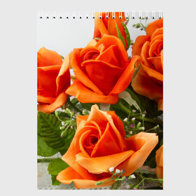 Скетчбук с принтом Розы , 100% бумага
 | 48 листов, плотность листов — 100 г/м2, плотность картонной обложки — 250 г/м2. Листы скреплены сверху удобной пружинной спиралью | бабочки | весна | краски | лето | осень | розы | цветок | цветы