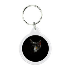 Брелок круглый с принтом Кошачий взгляд , пластик и полированная сталь | круглая форма, металлическое крепление в виде кольца | глаз | киска | кот | котёнок | кошка | прикольные картинки | темнота | тьма
