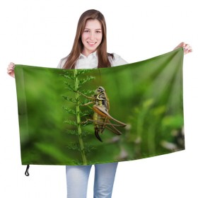 Флаг 3D с принтом Кузнечик , 100% полиэстер | плотность ткани — 95 г/м2, размер — 67 х 109 см. Принт наносится с одной стороны | насекомые. кузнечик | природа | стебель