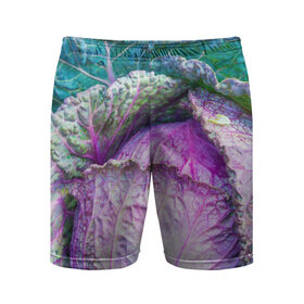Мужские шорты 3D спортивные с принтом Капуста ,  |  | дача | еда | зелень | капуста | овощи | огород | растения | цветная капуста
