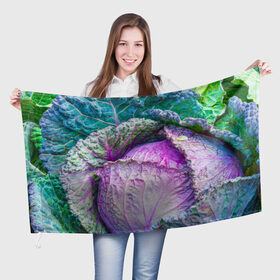 Флаг 3D с принтом Капуста , 100% полиэстер | плотность ткани — 95 г/м2, размер — 67 х 109 см. Принт наносится с одной стороны | Тематика изображения на принте: дача | еда | зелень | капуста | овощи | огород | растения | цветная капуста