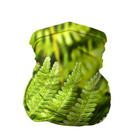 Бандана-труба 3D с принтом Папоротник , 100% полиэстер, ткань с особыми свойствами — Activecool | плотность 150‒180 г/м2; хорошо тянется, но сохраняет форму | ботаника | зелень | листья | папоротник | природа | растения | цветок