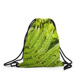 Рюкзак-мешок 3D с принтом Папоротник , 100% полиэстер | плотность ткани — 200 г/м2, размер — 35 х 45 см; лямки — толстые шнурки, застежка на шнуровке, без карманов и подкладки | Тематика изображения на принте: ботаника | зелень | листья | папоротник | природа | растения | цветок