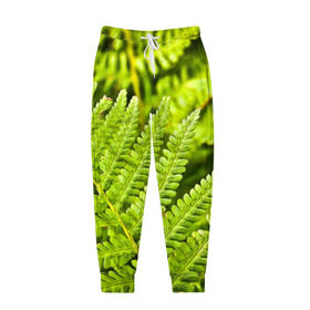 Мужские брюки 3D с принтом Папоротник , 100% полиэстер | манжеты по низу, эластичный пояс регулируется шнурком, по бокам два кармана без застежек, внутренняя часть кармана из мелкой сетки | ботаника | зелень | листья | папоротник | природа | растения | цветок
