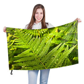 Флаг 3D с принтом Папоротник , 100% полиэстер | плотность ткани — 95 г/м2, размер — 67 х 109 см. Принт наносится с одной стороны | ботаника | зелень | листья | папоротник | природа | растения | цветок