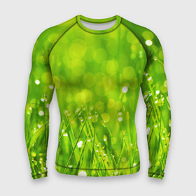 Мужской рашгард 3D с принтом Роса на траве ,  |  | Тематика изображения на принте: зелёный | зелень | луг | роса | яркий