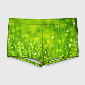 Мужские купальные плавки 3D с принтом Роса на траве , Полиэстер 85%, Спандекс 15% |  | зелёный | зелень | луг | роса | яркий