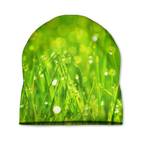 Шапка 3D с принтом Роса на траве , 100% полиэстер | универсальный размер, печать по всей поверхности изделия | зелёный | зелень | луг | роса | яркий