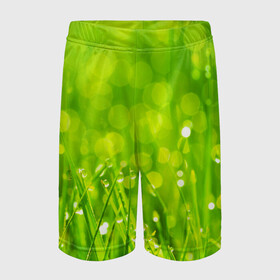 Детские спортивные шорты 3D с принтом Роса на траве ,  100% полиэстер
 | пояс оформлен широкой мягкой резинкой, ткань тянется
 | Тематика изображения на принте: зелёный | зелень | луг | роса | яркий