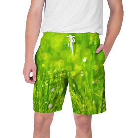 Мужские шорты 3D с принтом Роса на траве ,  полиэстер 100% | прямой крой, два кармана без застежек по бокам. Мягкая трикотажная резинка на поясе, внутри которой широкие завязки. Длина чуть выше колен | зелёный | зелень | луг | роса | яркий