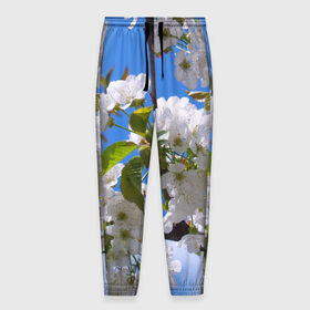 Мужские брюки 3D с принтом Вишнёвый цвет , 100% полиэстер | манжеты по низу, эластичный пояс регулируется шнурком, по бокам два кармана без застежек, внутренняя часть кармана из мелкой сетки | весна | вишня | лепестки | прикольные картинки | цветение | цветы