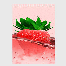 Скетчбук с принтом Клубника , 100% бумага
 | 48 листов, плотность листов — 100 г/м2, плотность картонной обложки — 250 г/м2. Листы скреплены сверху удобной пружинной спиралью | Тематика изображения на принте: вода | еда | зеленый | капли | клубника | красный | лето | напиток | ягода