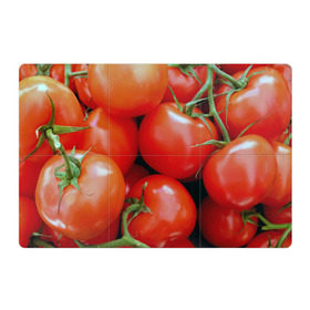 Магнитный плакат 3Х2 с принтом Томаты , Полимерный материал с магнитным слоем | 6 деталей размером 9*9 см | дача | еда | зелень | красный | овощи | огород | помидоры | томаты