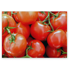 Поздравительная открытка с принтом Томаты , 100% бумага | плотность бумаги 280 г/м2, матовая, на обратной стороне линовка и место для марки
 | Тематика изображения на принте: дача | еда | зелень | красный | овощи | огород | помидоры | томаты