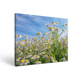 Холст прямоугольный с принтом Ромашковый рай , 100% ПВХ |  | Тематика изображения на принте: лепестки | небо | прикольные картинки | ромашки | солнце | цветочки | цветы