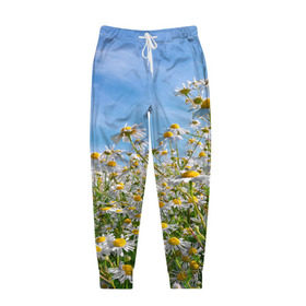 Мужские брюки 3D с принтом Ромашковый рай , 100% полиэстер | манжеты по низу, эластичный пояс регулируется шнурком, по бокам два кармана без застежек, внутренняя часть кармана из мелкой сетки | лепестки | небо | прикольные картинки | ромашки | солнце | цветочки | цветы