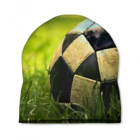 Шапка 3D с принтом Футбол , 100% полиэстер | универсальный размер, печать по всей поверхности изделия | стадион | футбольное поле | футбольный мяч