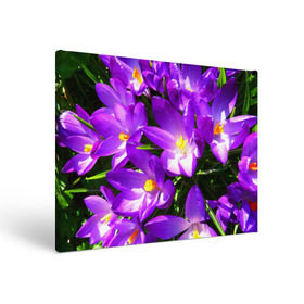 Холст прямоугольный с принтом Сиреневая прелесть , 100% ПВХ |  | Тематика изображения на принте: лепестки | прикольные картинки | сиреневый | цветочки | цветы