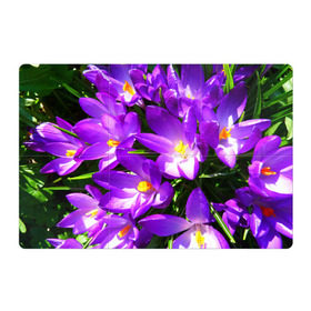 Магнитный плакат 3Х2 с принтом Сиреневая прелесть , Полимерный материал с магнитным слоем | 6 деталей размером 9*9 см | лепестки | прикольные картинки | сиреневый | цветочки | цветы