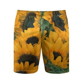 Мужские шорты 3D спортивные с принтом Подсолнухи ,  |  | желтый | зеленый | лето | подсолнухи | цветы | черный