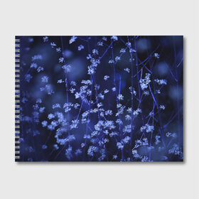 Альбом для рисования с принтом Ночные цветы , 100% бумага
 | матовая бумага, плотность 200 мг. | Тематика изображения на принте: лепестки | ночь | прикольные картинки | синий | цветочки | цветы