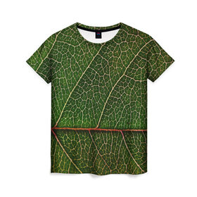 Женская футболка 3D с принтом Листик , 100% полиэфир ( синтетическое хлопкоподобное полотно) | прямой крой, круглый вырез горловины, длина до линии бедер | дерево | зеленый | зелень | лист | природа | растения