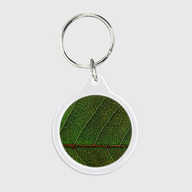 Брелок круглый с принтом Листик , пластик и полированная сталь | круглая форма, металлическое крепление в виде кольца | Тематика изображения на принте: дерево | зеленый | зелень | лист | природа | растения