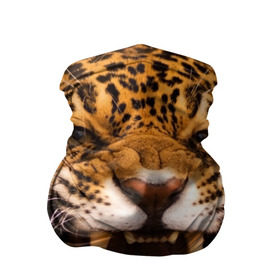 Бандана-труба 3D с принтом Леопард , 100% полиэстер, ткань с особыми свойствами — Activecool | плотность 150‒180 г/м2; хорошо тянется, но сохраняет форму | дикая кошка | клыки | леопард | оскал | хищник